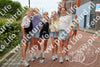 Evenement foto: 1369
