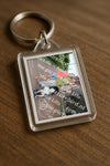 Evenement foto: 1369