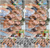 Evenement foto: 2893