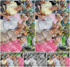 Evenement foto: 2895