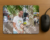 Evenement foto: 2897