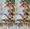 Evenement foto: 2897