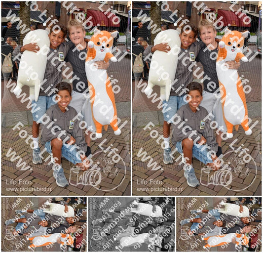 Evenement foto: 2898