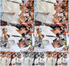 Evenement foto: 2973