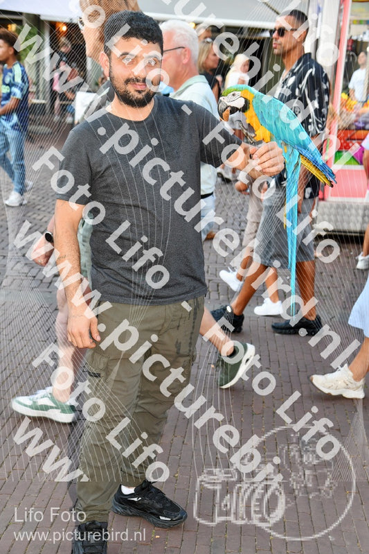 Evenement foto: 2973