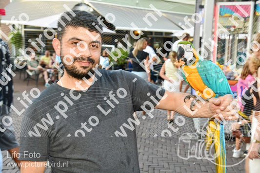 Evenement foto: 2973