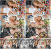 Evenement foto: 2974