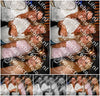 Evenement foto: 2976