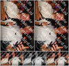 Evenement foto: 2976
