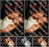 Evenement foto: 2976