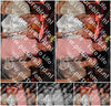 Evenement foto: 2976