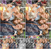 Evenement foto: 2977