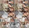 Evenement foto: 2977