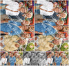 Evenement foto: 2978