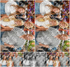 Evenement foto: 2978