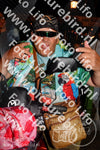 Evenement foto: 2979