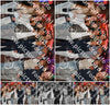 Evenement foto: 2979