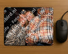 Evenement foto: 2979