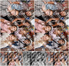 Evenement foto: 2919