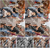 Evenement foto: 2919