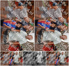 Evenement foto: 2919