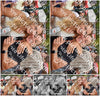 Evenement foto: 2921