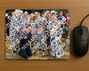 Evenement foto: 1324