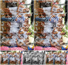 Evenement foto: 1324