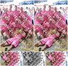 Evenement foto: 1324