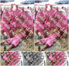 Evenement foto: 1324