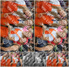 Evenement foto: 1324