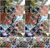 Evenement foto: 1324