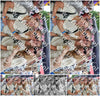 Evenement foto: 1324