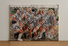 Evenement foto: 1324