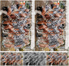 Evenement foto: 1324