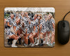 Evenement foto: 1324
