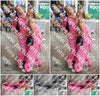Evenement foto: 1325