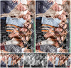 Evenement foto: 2205
