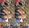 Evenement foto: 2923