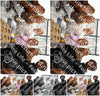 Evenement foto: 2923