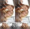 Evenement foto: 2923