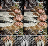 Evenement foto: 2924