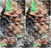 Evenement foto: 2924