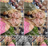 Evenement foto: 2924