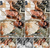Evenement foto: 2981