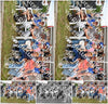 Evenement foto: 2251