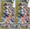 Evenement foto: 2251