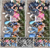 Evenement foto: 2251