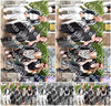 Evenement foto: 2251