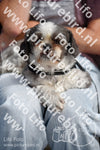 Evenement foto: 2251